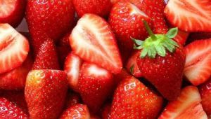 小張生態草莓園 小張生態草莓園