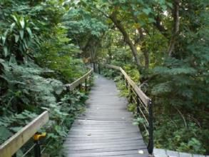 芝山文化生態綠園 芝山文化生態綠園