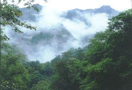 天保工程 天保工程