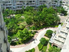 鵬興花園六期 鵬興花園六期