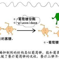 奶牛酮病 奶牛酮病