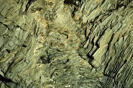 鉤狀褶皺 鉤狀褶皺