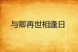 與卿再世相逢日 與卿再世相逢日