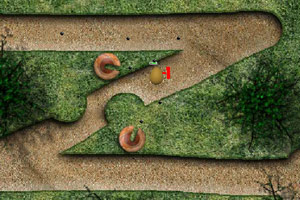 拿雞蛋闖關 拿雞蛋闖關