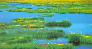 1971年2月2日 1971年2月2日