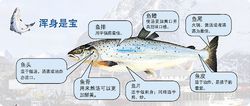 挪威三文魚