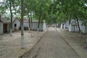 桃花店回族村 桃花店回族村