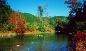 九龍江國家森林公園