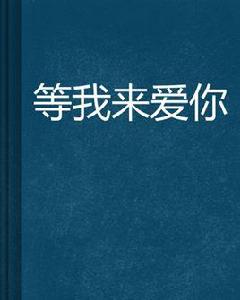 等我來愛你 等我來愛你
