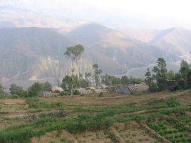 湯丹鎮三家村 湯丹鎮三家村