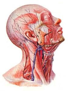 結核性淋巴結炎