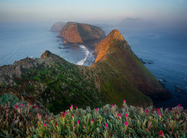海峽群島國家公園 海峽群島國家公園