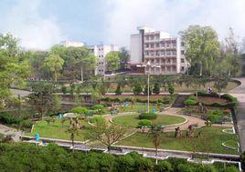 瀘州市樹風職業中專學校 瀘州市樹風職業中專學校