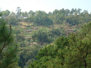 天生橋自然村 天生橋自然村