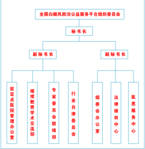 全國白癜風防治公益服務平台組織架構圖