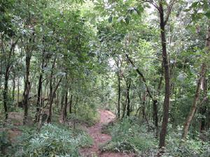 安家灣自然村 安家灣自然村