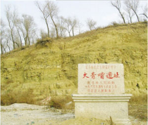 大青嘴遺址 大青嘴遺址