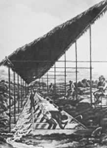 拉丁美洲黑奴制 拉丁美洲黑奴制