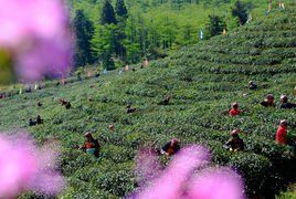 東海雲頂 東海雲頂