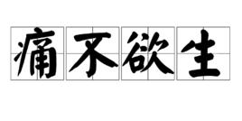 痛不欲生 痛不欲生