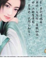 網路紅顏[小說]