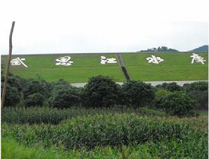 武思江水庫 武思江水庫