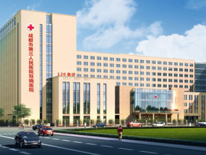 成都第三人民醫院雙楠分院 成都第三人民醫院雙楠分院