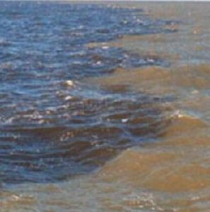 海洋死區 海洋死區