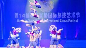 吳橋雜技藝術節 吳橋雜技藝術節