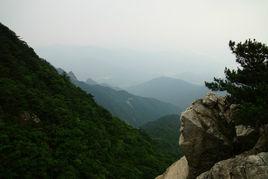 長江河村 長江河村