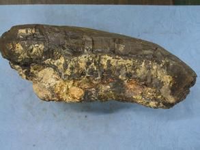 太平洋多金屬硫化礦 太平洋多金屬硫化礦