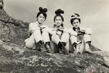 《三鳳震武林》電影劇照