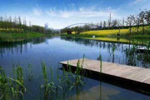 水景公園 水景公園