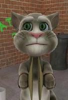 《會說話的湯姆貓》