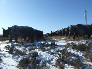 康巴什新區 康巴什新區