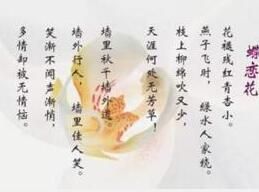 蝶戀花·花褪殘紅青杏小 蝶戀花·花褪殘紅青杏小