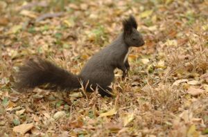 遼寧省實驗中學
