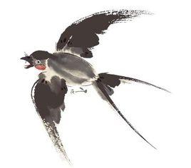 卜運算元·燕子不曾來 卜運算元·燕子不曾來