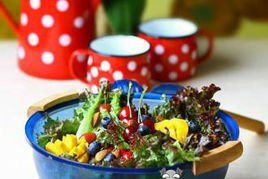 蘋果醋沙拉 蘋果醋沙拉