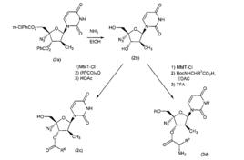 酸酐反應 酸酐反應