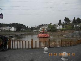 青蓮鎮[四川省南充市青蓮鎮]