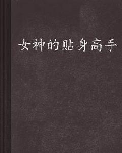 女神的貼身高手[連載於天下書盟網的都市類小說]