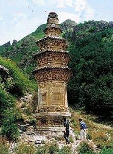 蔚縣金河口森林公園