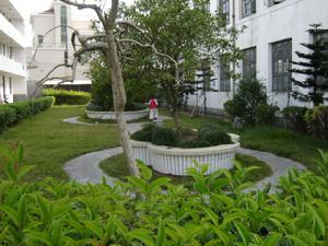 樂清市天成鄉中心國小