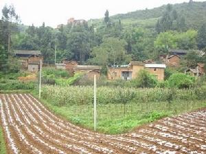 老塘溝村 老塘溝村