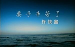 妻子你辛苦了 妻子你辛苦了