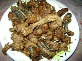 三蛇龍虎鳳大會 三蛇龍虎鳳大會