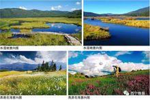 水灘濕地花海景區