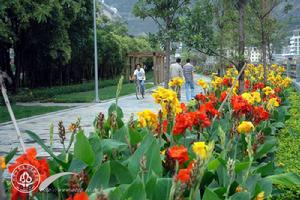 阿壩師範高等專科學校