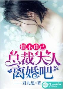 情不由己:總裁大人離婚吧 情不由己:總裁大人離婚吧